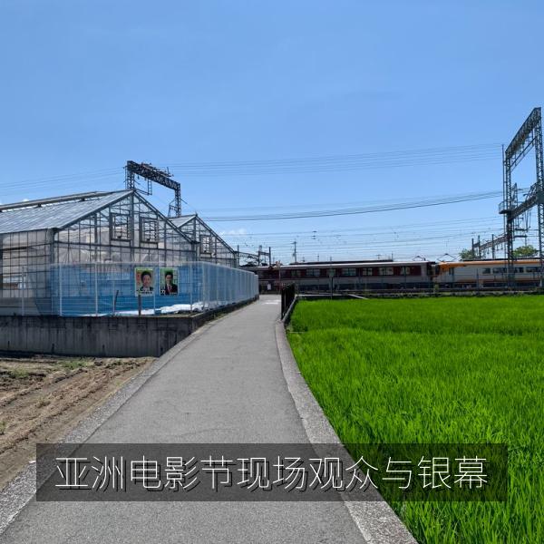 亚洲电影节现场观众与银幕